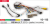 Carav 16-118 | разъем 16-pin Renault 2012+ выборочн. модели (Питание + Динамики + Антенна + Руль + Камера + CANBUS)